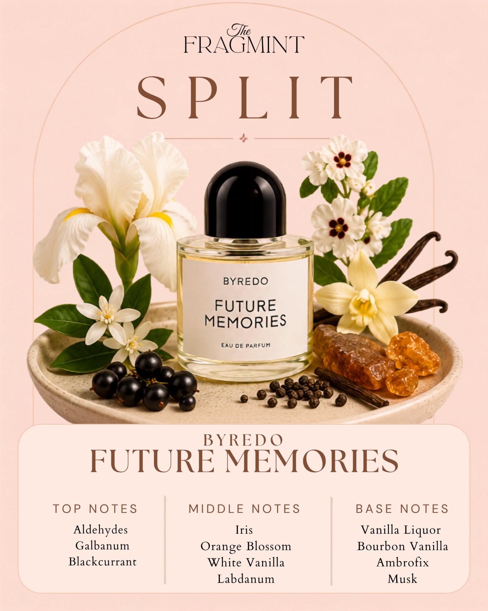 Future Memories Split