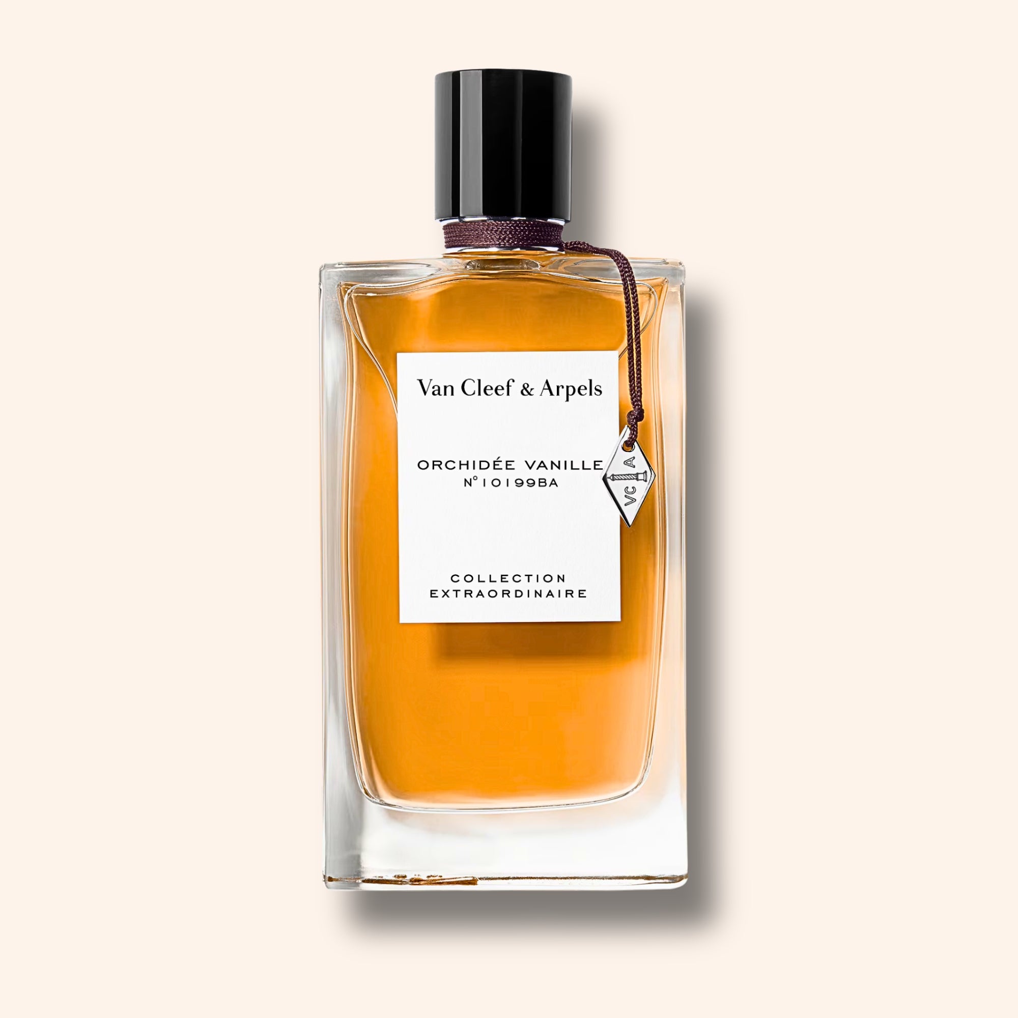 Orchidée Vanille