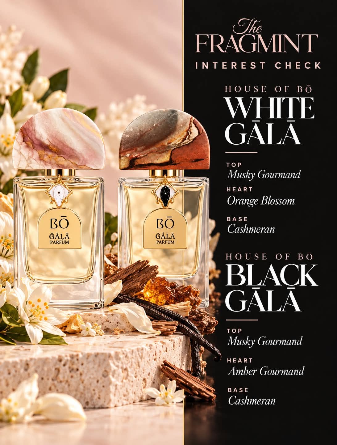 Black Gala Split