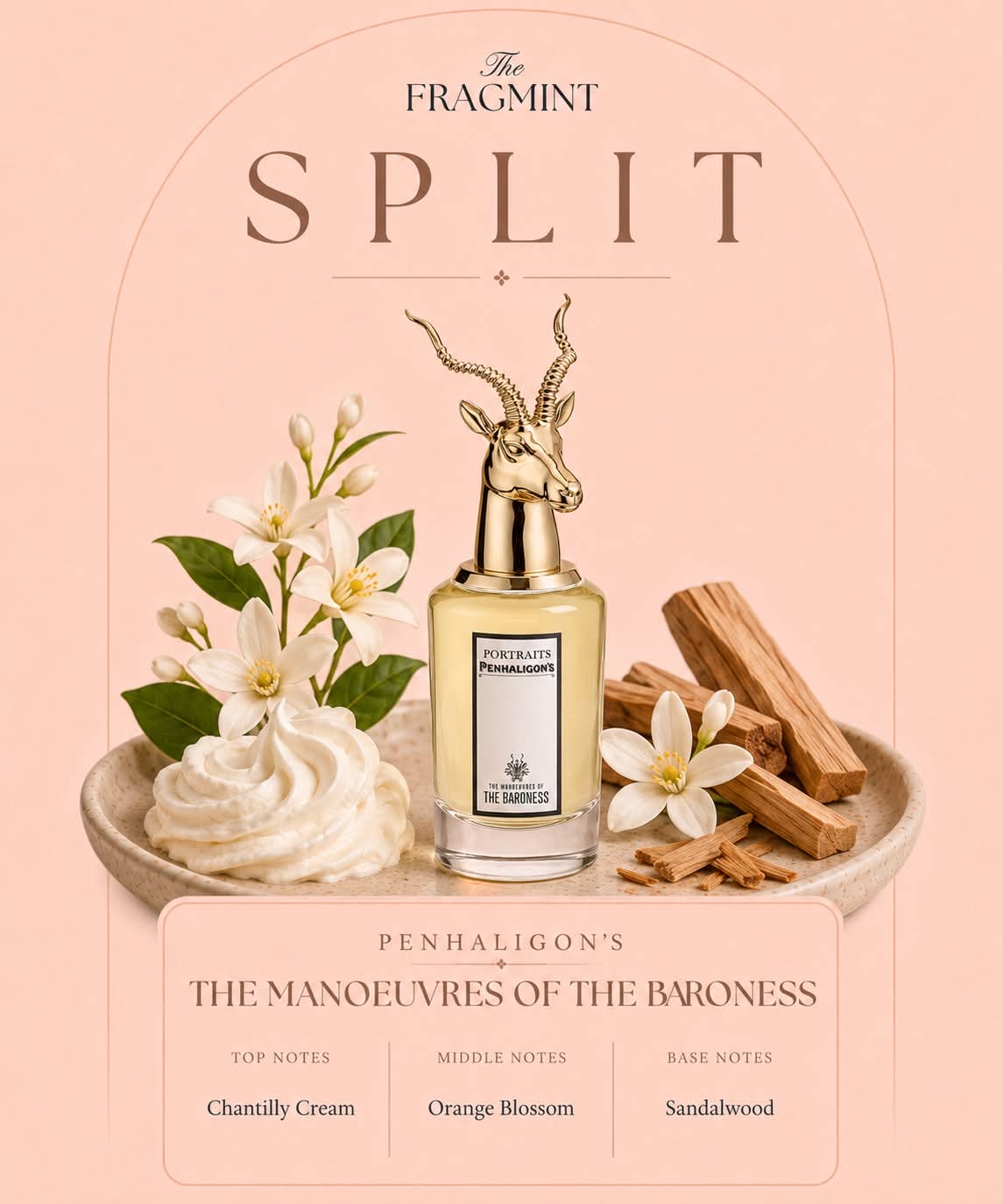 The Manoeuvres of the Baroness